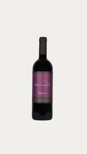 BENVENUTI CALDIEROSSO 1,5 L