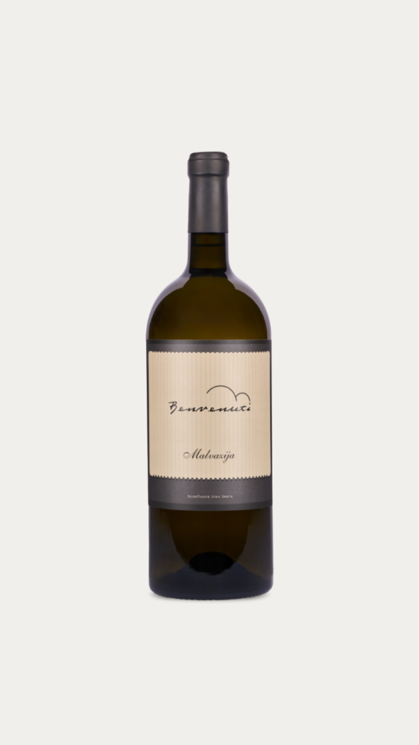 Benvenuti Malvazija Magnum (1)