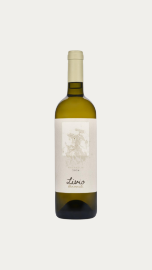 BENVENUTI MALVAZIJA LIVIO